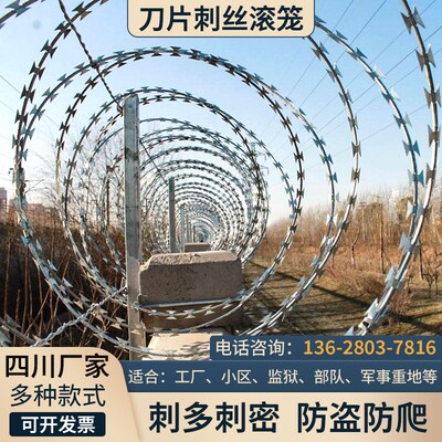 四川围墙防爬网刀片刺绳防护网不锈钢滚笼刺网带刺铁丝防盗防爬刺