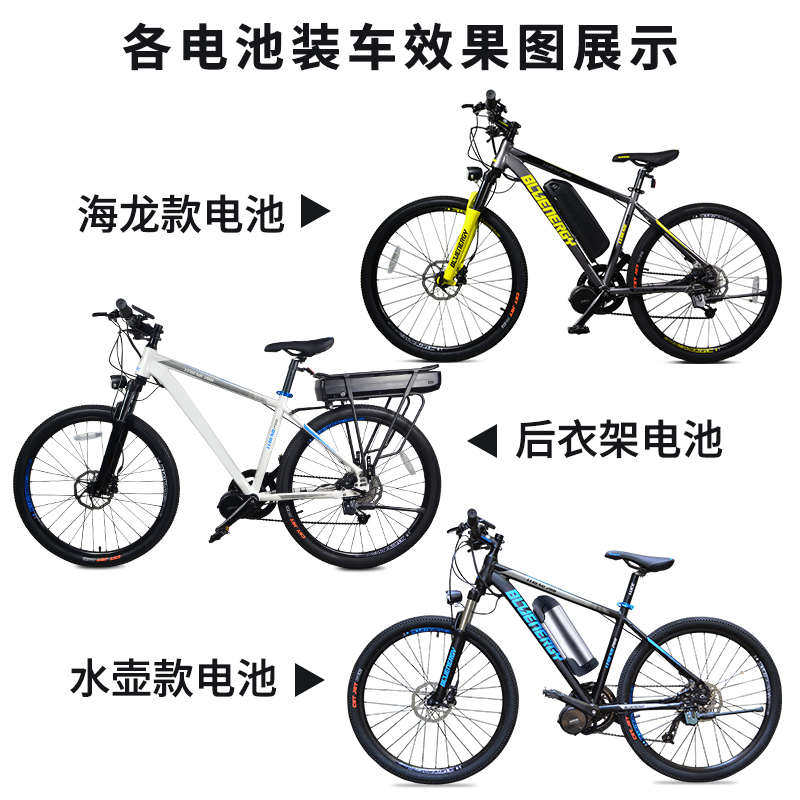 海龙锂电池水壶后衣架款自行车电助力改装36V48V货架款大容量电池