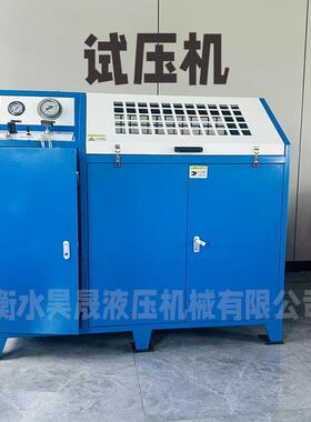 水压爆破试验台试压机测压机测试压力可达300MPa支持定制气电