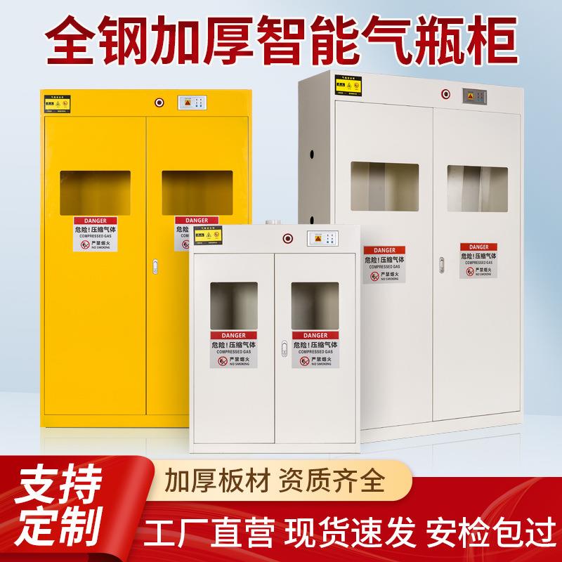 气瓶柜全钢安全柜防爆乙炔氢气氧气煤气罐实验室储存双瓶钢瓶柜子