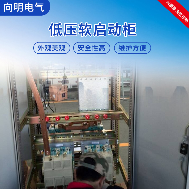 买家保障DI价合格HS系列400V低压电机电子软启动柜电机启动成套柜