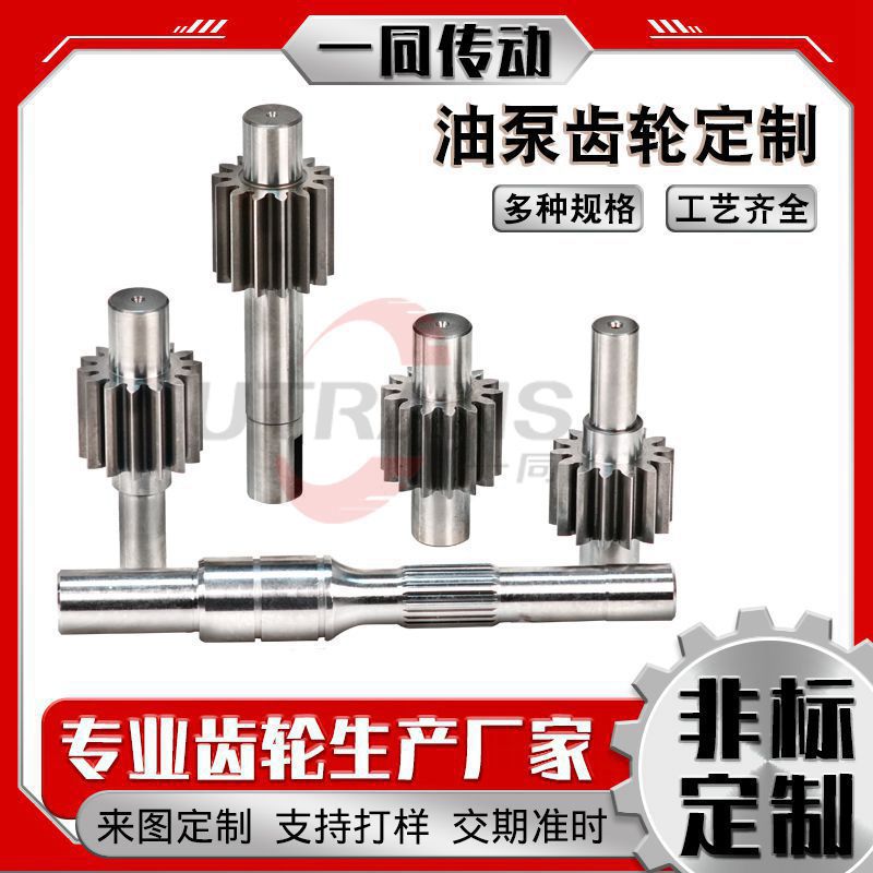 东莞厂家加工定制各种规格小模数齿轮轴 超高压液压设备油泵齿轮