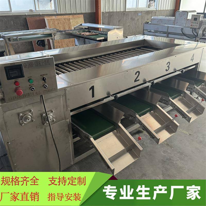 滚杠式水果分选机不锈钢百香果柠檬滚杠分级机苹果分选机厂家