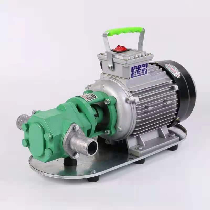 12V24V220v微型手提泵便携式小流量齿轮泵电动自吸抽柴油机