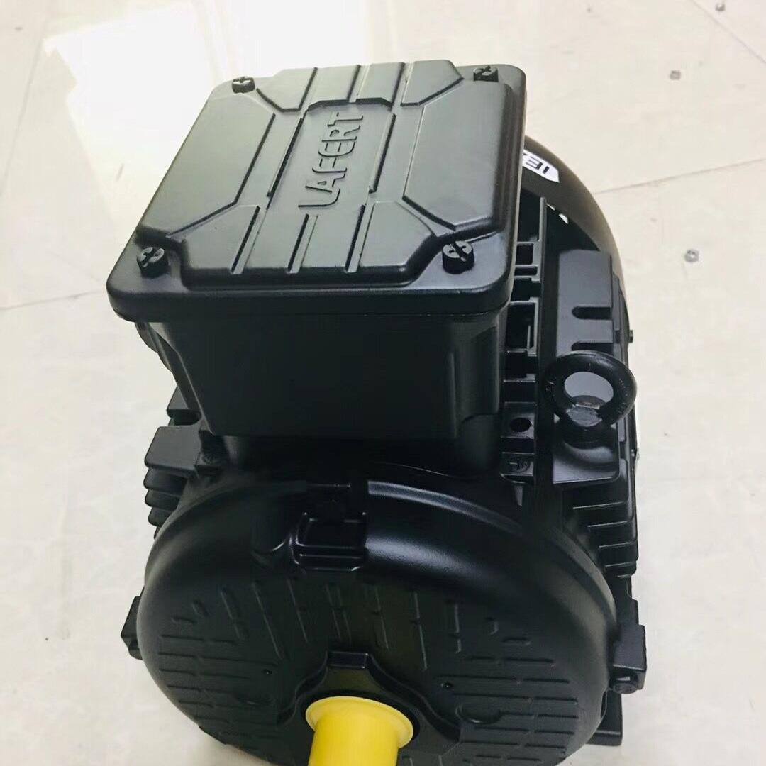 供应意大利LART拉菲特电机厂家直销LART高效电机AM80B4AM100