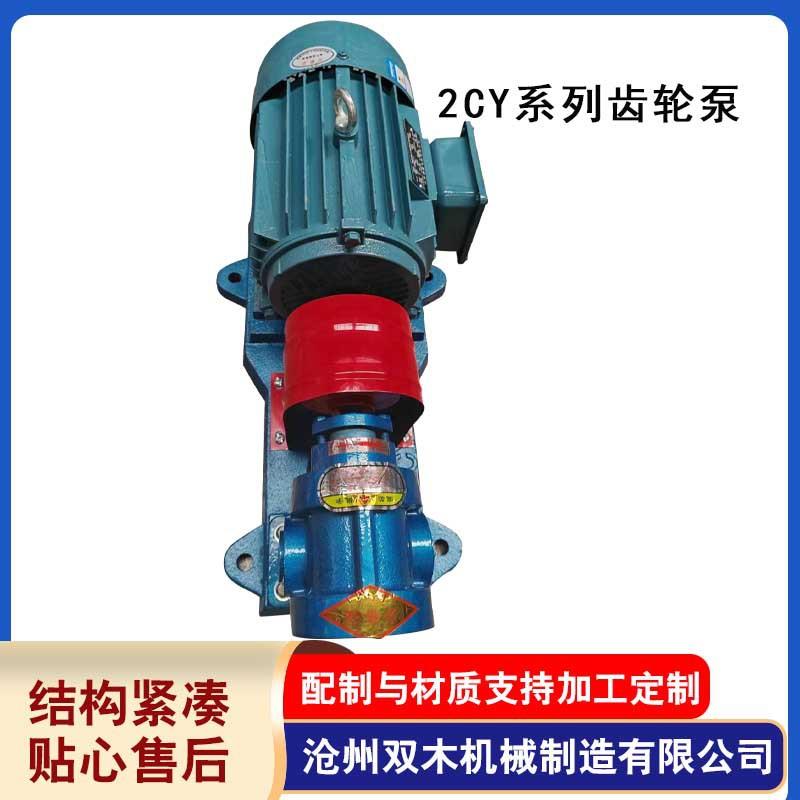 厂家供应2CY3/2.5齿轮泵电动卧式油泵耐高温机油润滑油化工输送泵