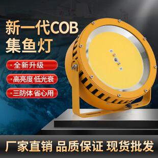 1000W大功率led聚鱼集鱼灯船用捕鱼灯户外防水海钓鱿鱼灯诱鱼灯具