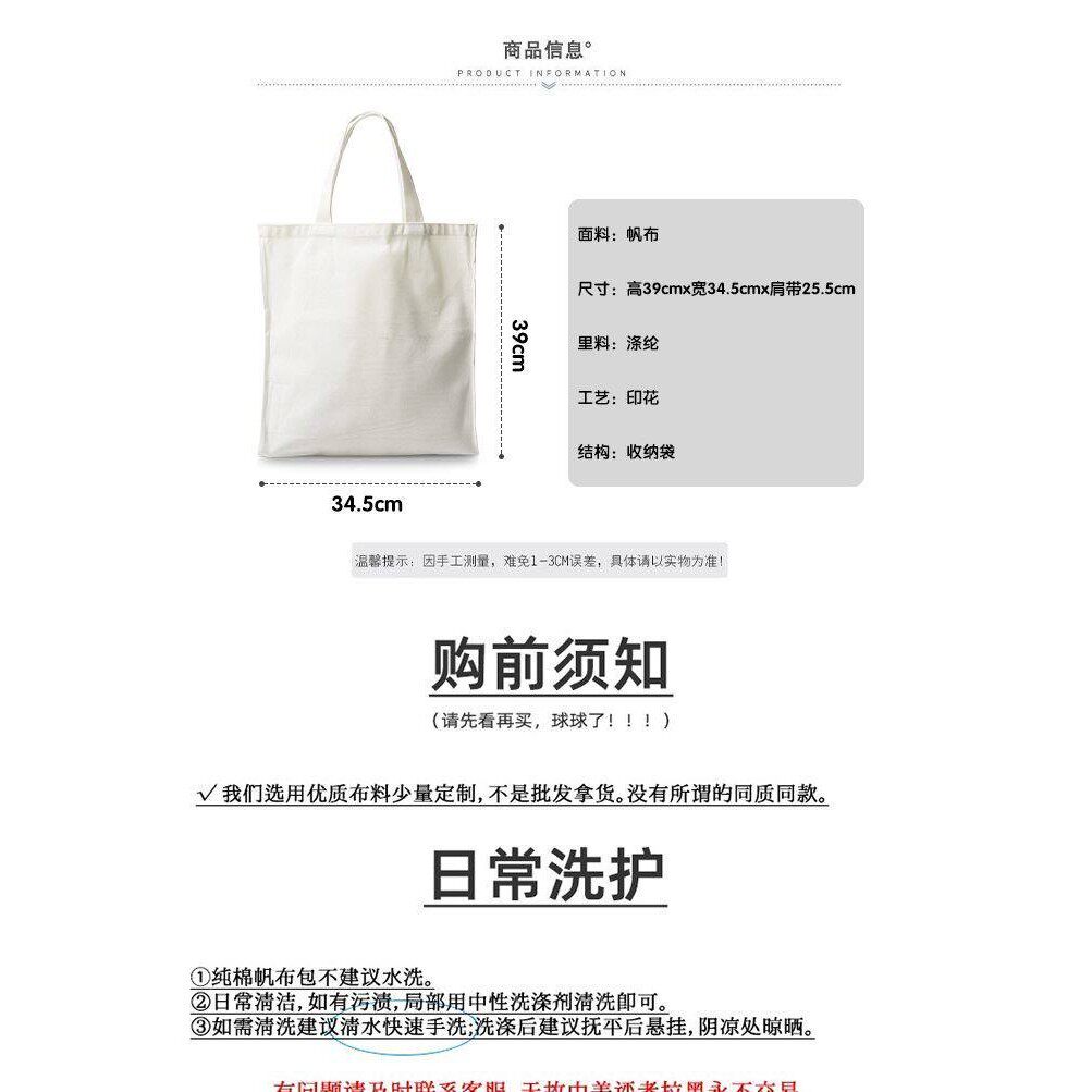小说众独全知读者视角同款帆布袋小众ins斜挎包拉链多层单肩包女