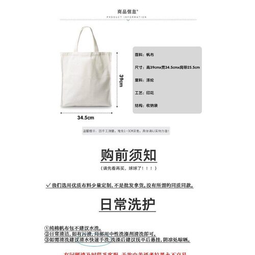 小说众独全知读者视角同款帆布袋小众ins斜挎包拉链多层单肩包女