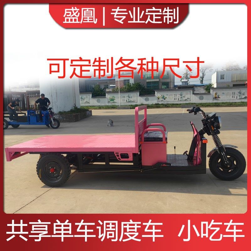 定制电动三轮车小吃车摆摊车共享单车调度车平板车拉货餐车低底盘