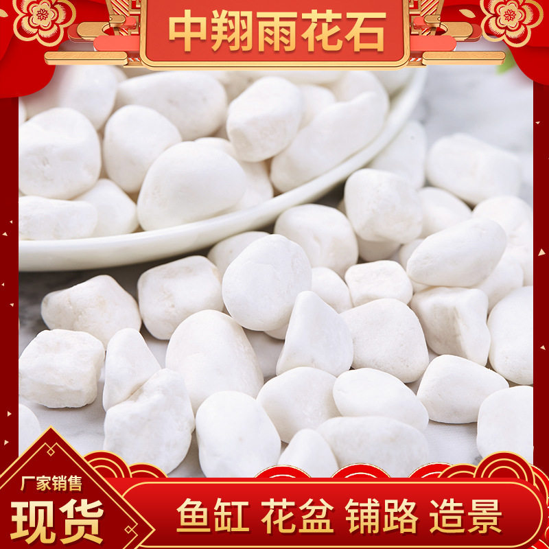 白色鹅卵石雪花白多肉盆栽铺面庭院造景鱼缸水池雨花石白色小石子