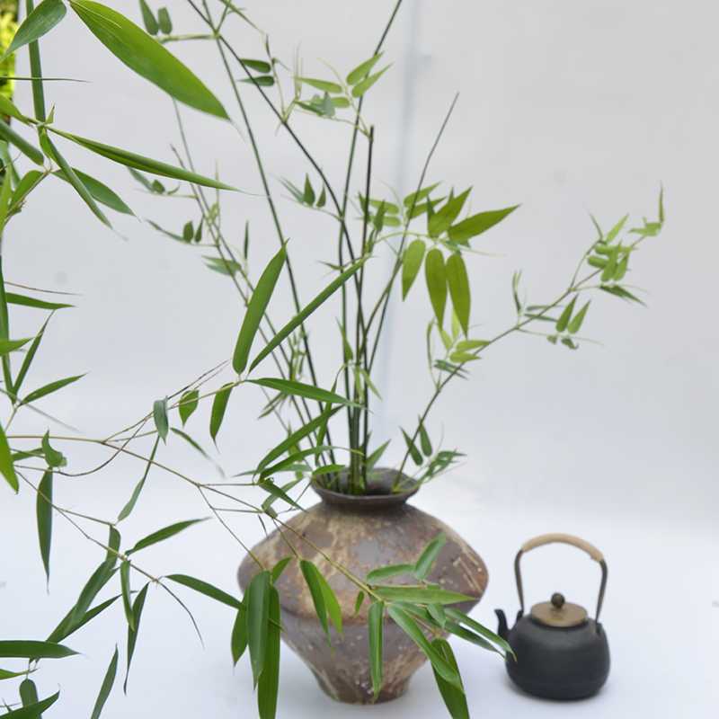 仿真小叶簕竹竹子绿植禅意插花侘寂中式竹叶仿生装饰盆栽摆件假花