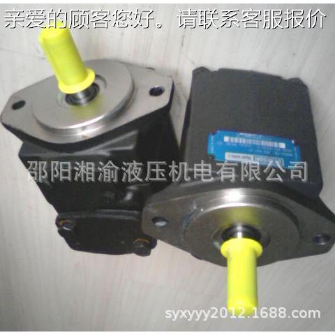 T6C-0141R01-B丹尼逊叶片泵T7D-B42-1R-T7D-B42-00A-11M0