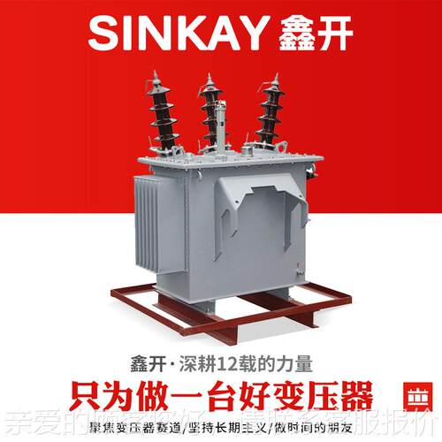 S1三相油浸式变压器800 9S1300100 0132V00KA配电电力变压器