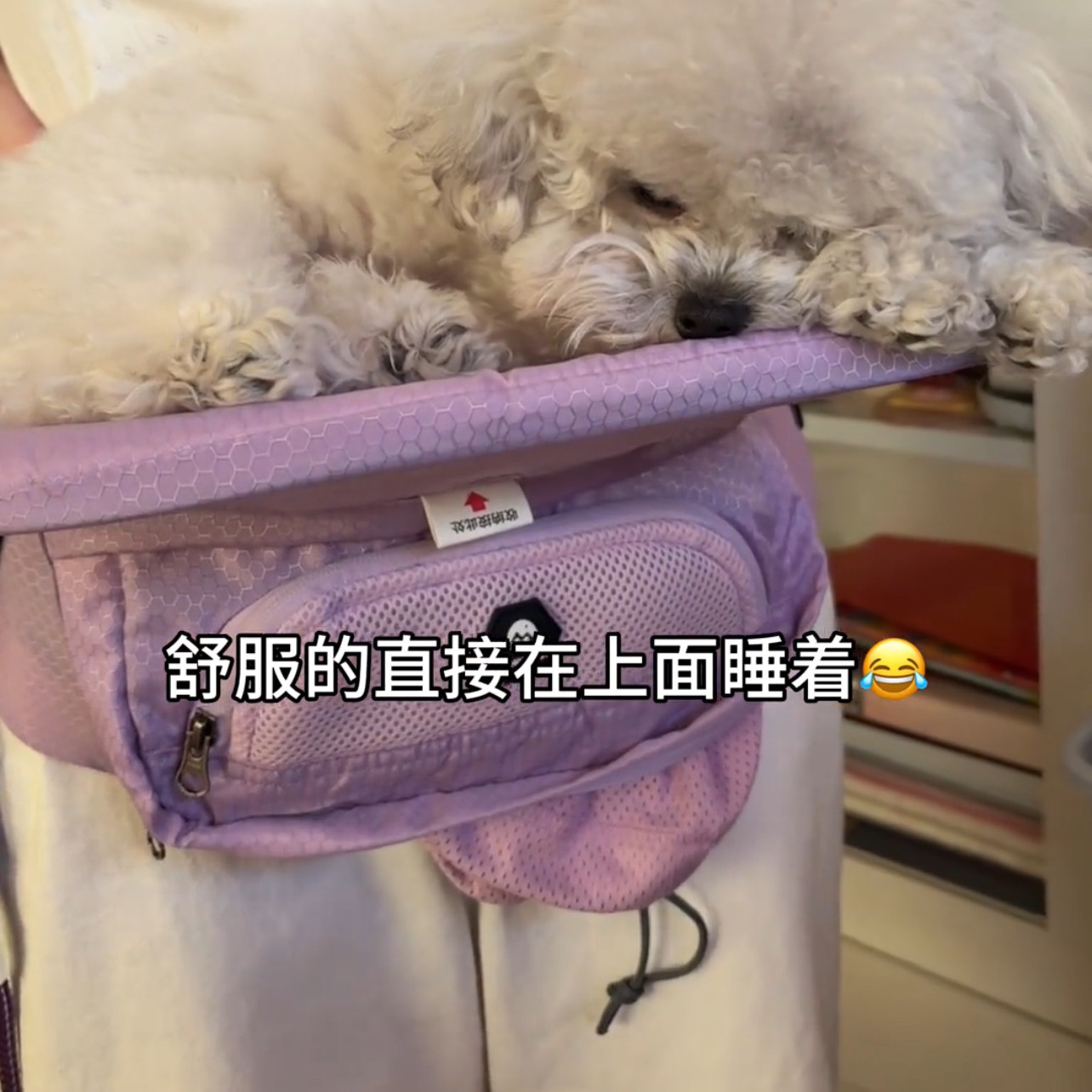猫狗通用宠物折叠腰凳新款2026便携式猫咪外出轻便背包宠物用具