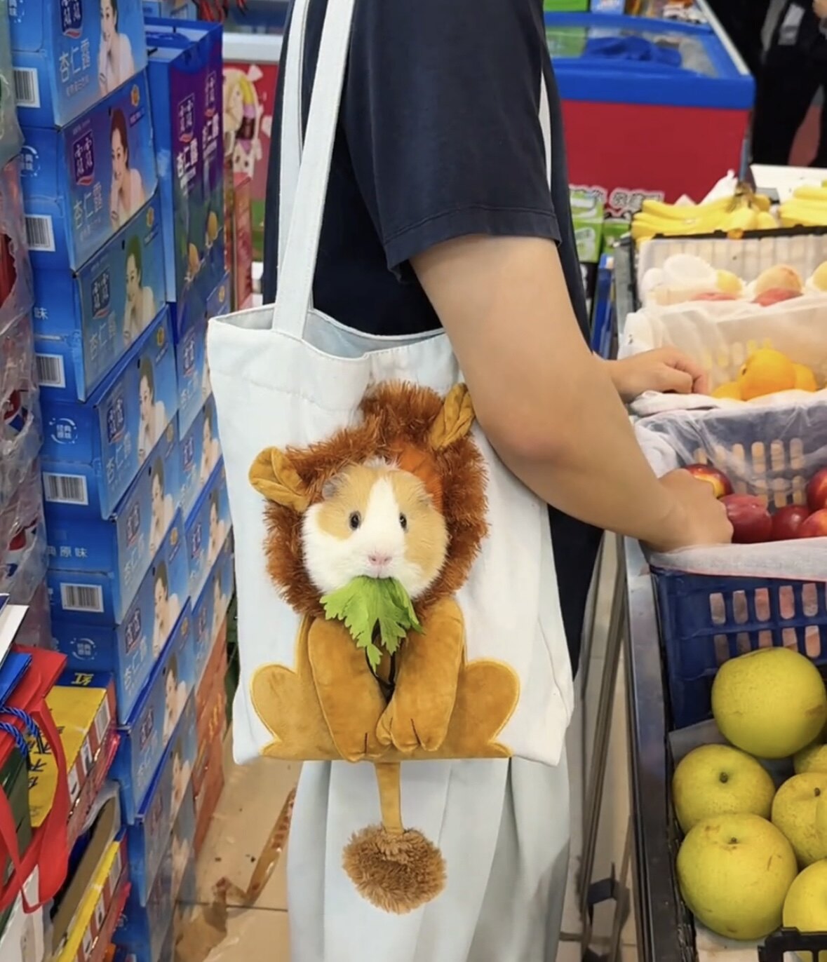 新品猫咪狮子头套猫咪外出包便携斜挎包单肩包露头猫包手提猫袋子