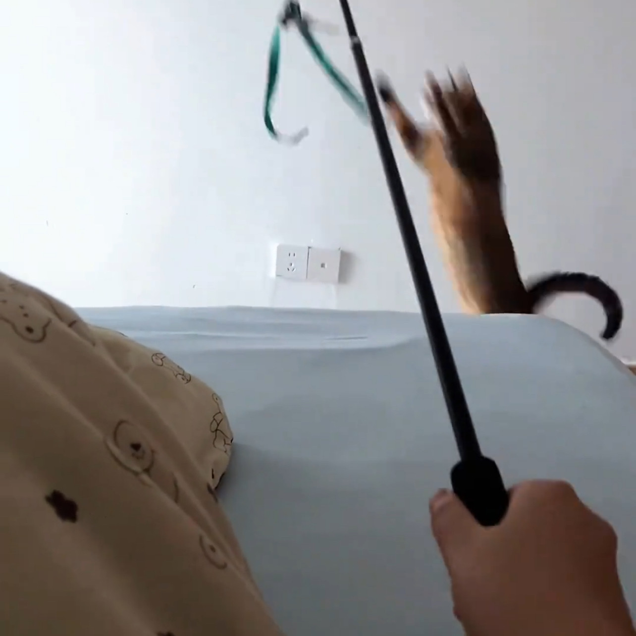 逗猫棒可伸缩1米逗猫杆互动性宠物用具逗猫棒幼猫小猫耐咬