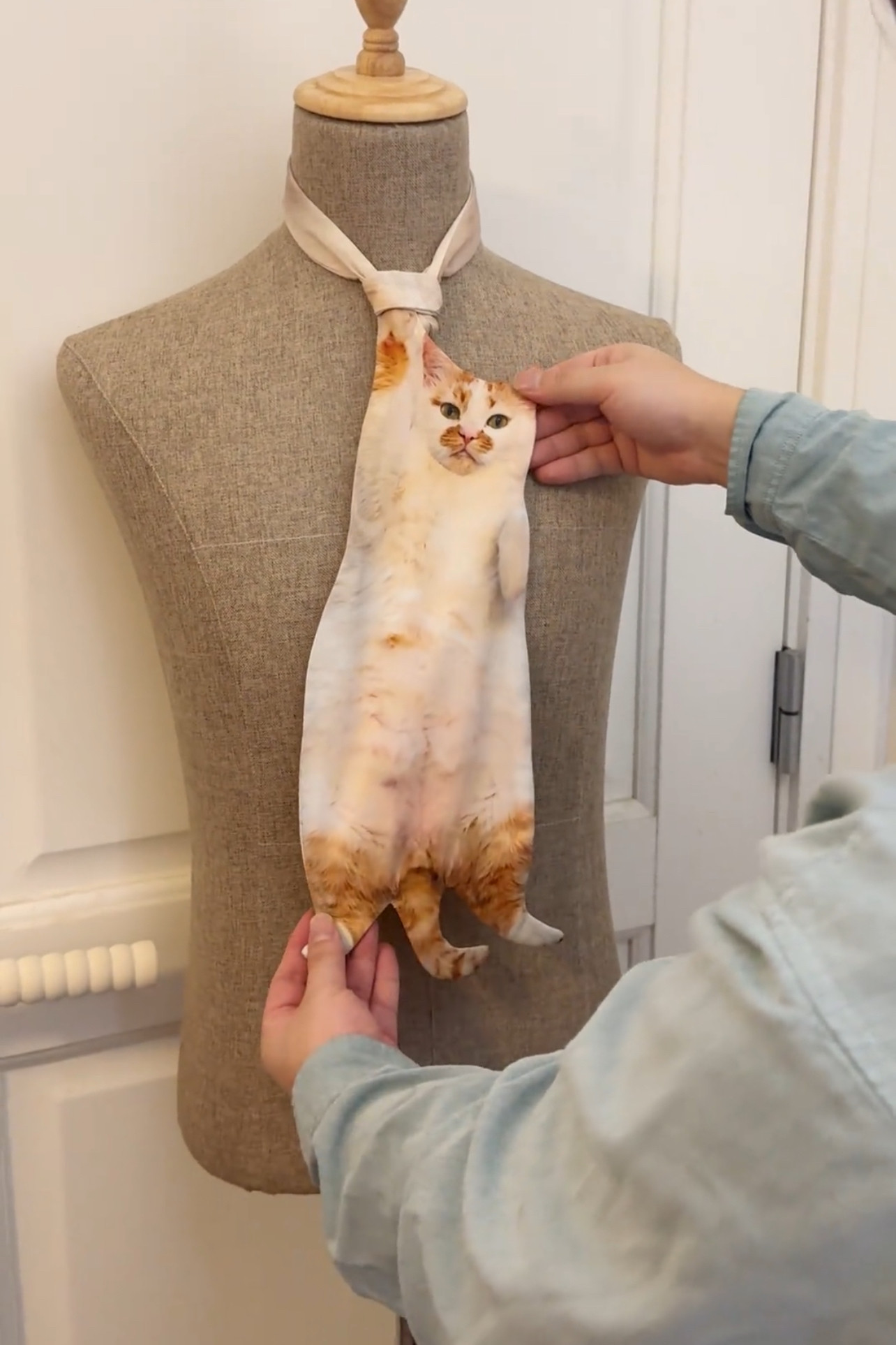 新款趣味2026领带猫异形领带礼物猫猫领带印花可定制猫咪窄领带