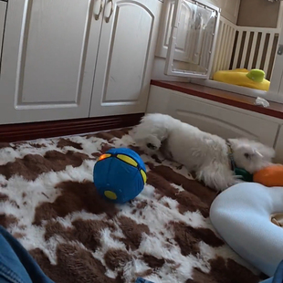 变形球弹簧皮球类趣味运动球类玩具踩踩球儿童弹力脚踩球魔幻飞碟