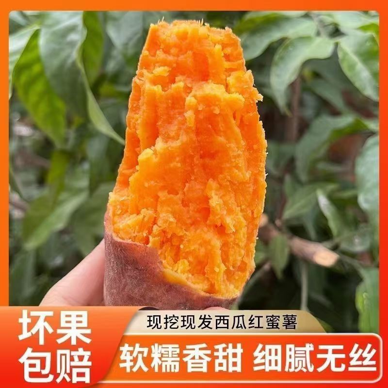 西口蜜安徽现挖西瓜红蜜薯红皮红心番薯新鲜地瓜基地直发红薯整箱