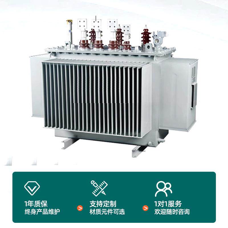 3变压器生产厂家S1-M-15KV3A铜浸油式变压器电力干式高压CVZ变压
