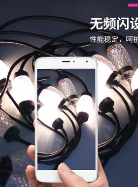 菠萝型灯节假日庭OGP造院饰彩灯菠萝灯装无串频闪水果灯