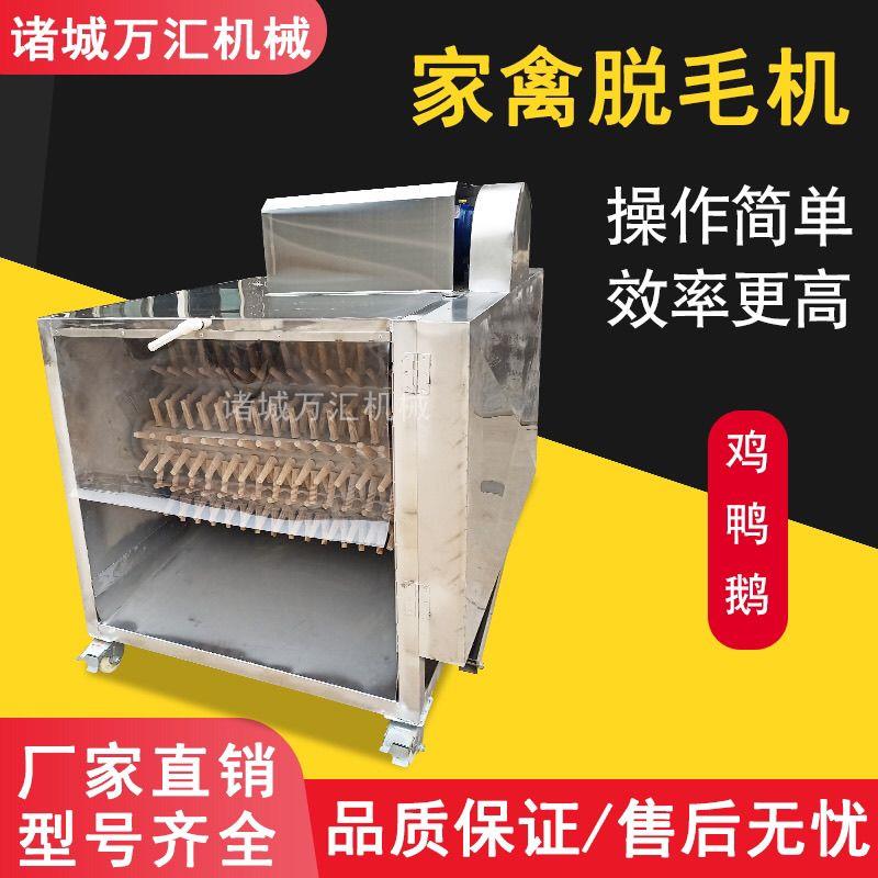 鸡鸭小型脱毛全自动家禽拔毛新款家用机打设备打毛机商用不锈厂家