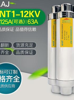 高分断能力高压熔断器熔断管熔芯 XRNT-10KV/50-100A