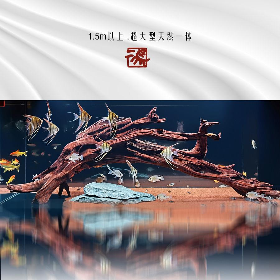 二马1.5m以上大号沉木超大型精品鱼缸造景木南美缸装饰拱桥型免煮
