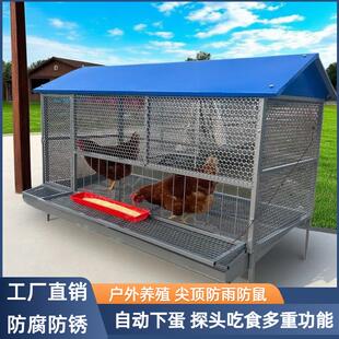 尖顶养殖家用鸡鸭兔笼鸭笼自动收蛋防黄鼠狼加密加厚防鼠鸡笼户外