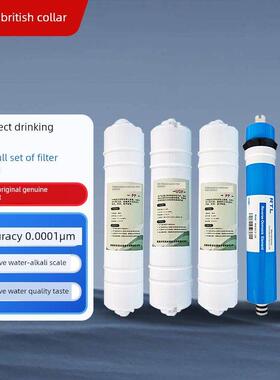英领100G直饮水机商用净水器滤芯PP棉前置后置活性炭RO反渗透膜