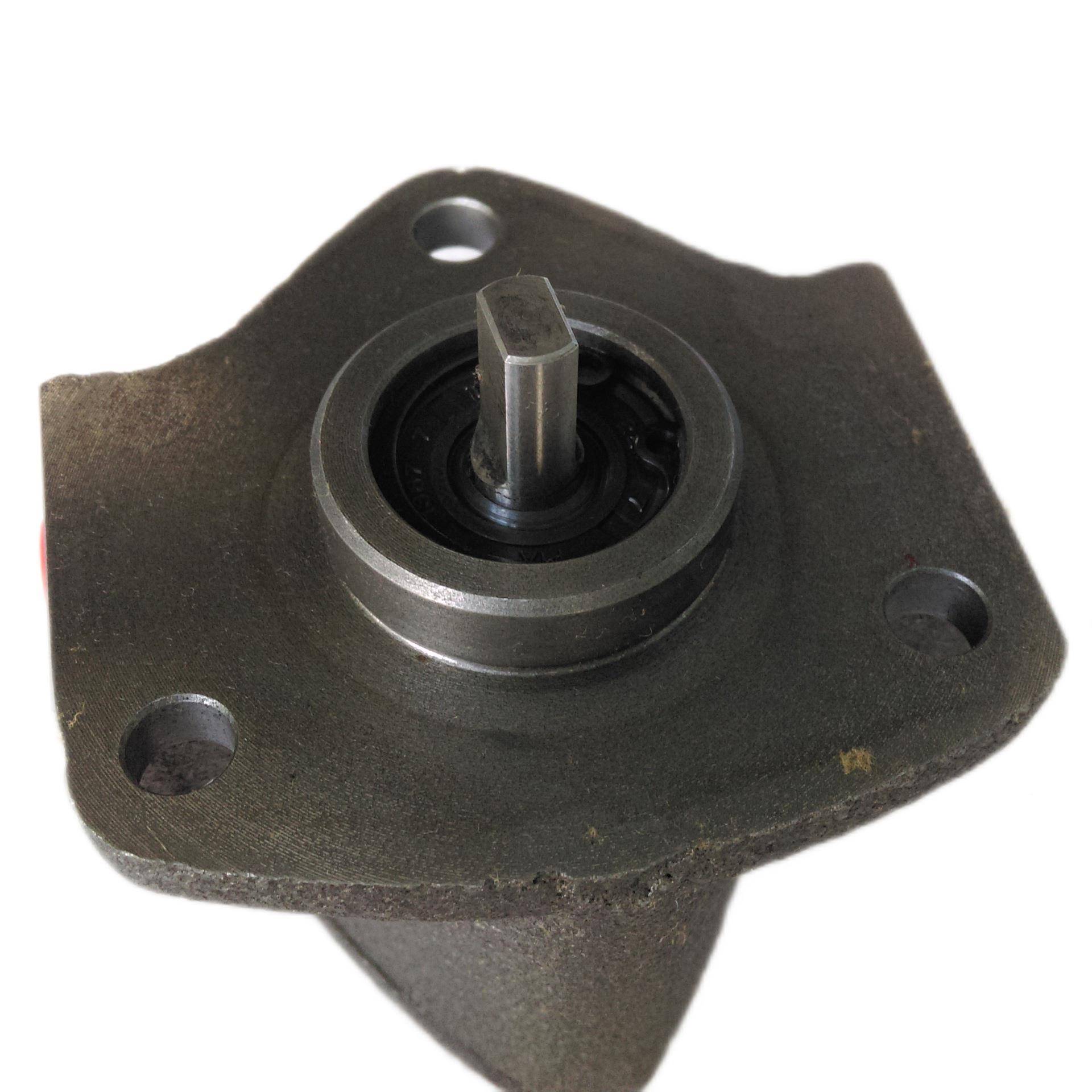 CP-13AHE马NYINGC1/4JXSHP达油Y泵CYP-10/11/12AVB三角泵