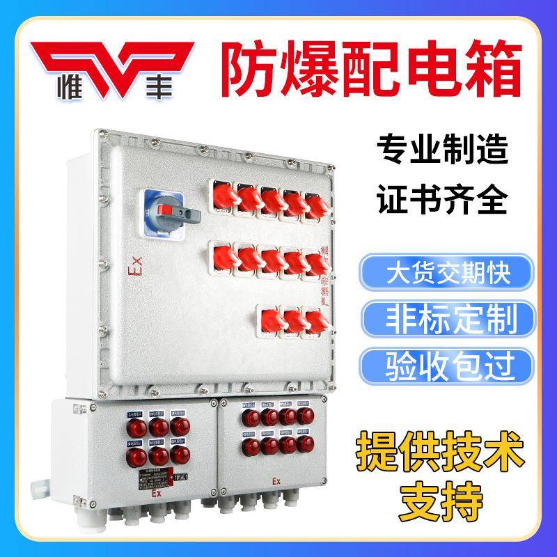 电箱仪表密接线插座正动力压按钮控制开关盒检BXM修箱柜成配套封