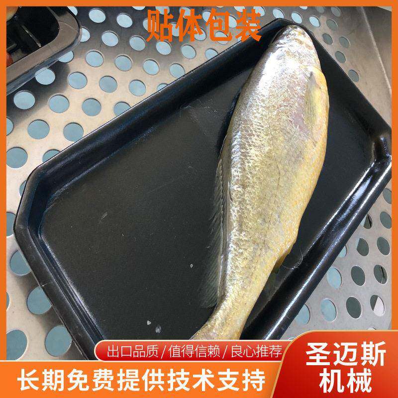 黄花鱼大黄花海鱼贴体包装机350小型贴体包装机海鲜包装设备