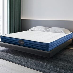 星港乳胶软硬两用定做席梦思床垫1.5米静音弹簧椰棕垫家用1.8