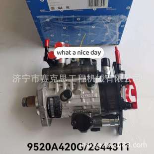 适用帕金斯1104D 2644C311济宁赛克思 44TA发动机燃油泵9520A420G