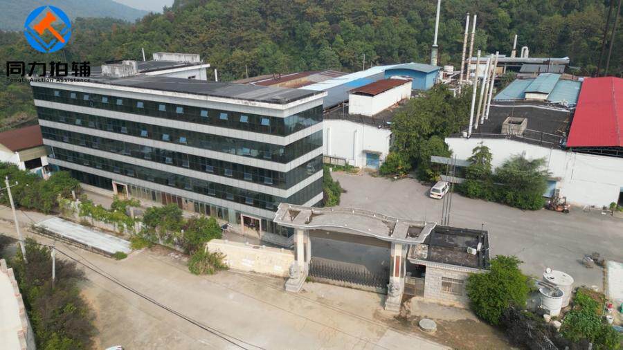 3月15日娄底新材料公司的老厂区土地使用权、构筑物、机器设备等网络拍卖公告