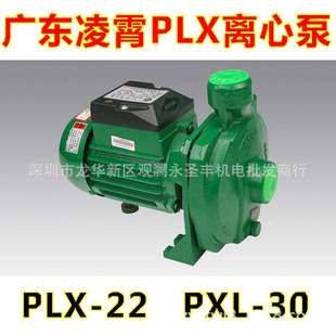 广东凌霄PLX 30T冷水泵 22T离心泵离心式 清水泵增压泵循环泵PLX