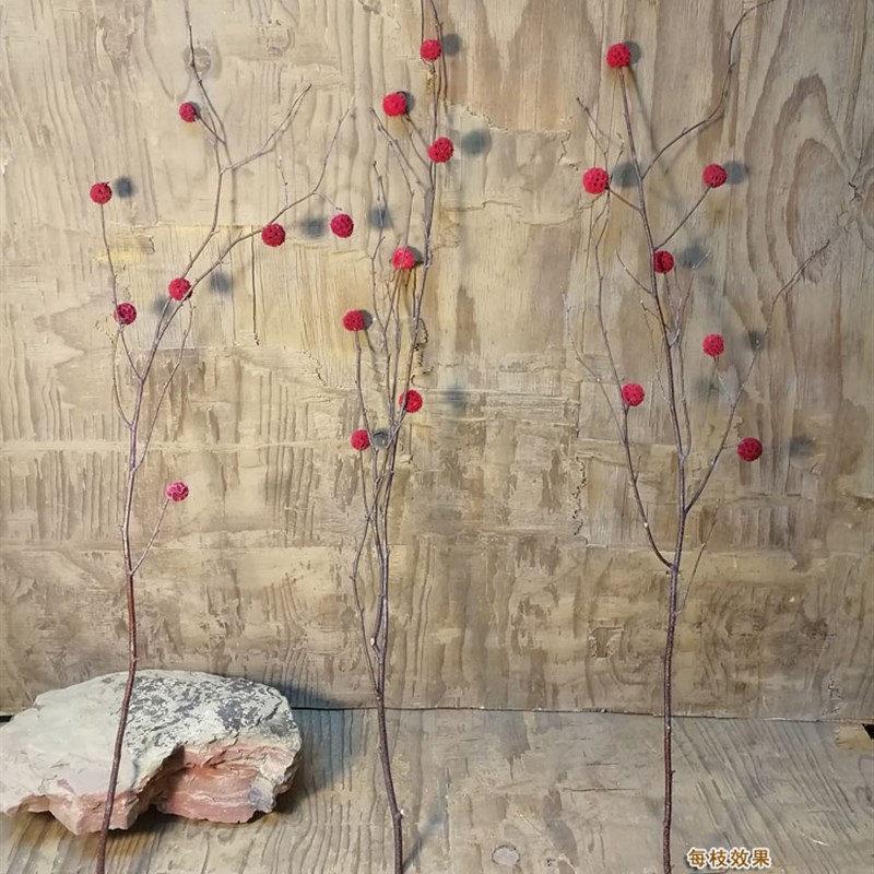 【华枝丰果】红果枝干花咖啡馆艺术馆家居摆设花瓶摄影道具干树枝