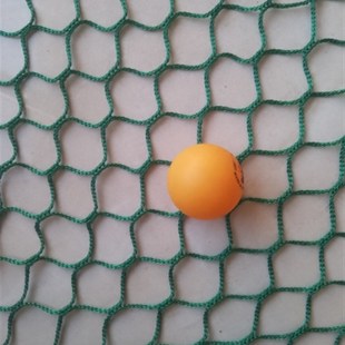 乒乓球场训练网围栏网无结网防护网拦球网隔离网场地围网围挡球网
