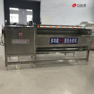 土豆毛辊清洗去皮机 胡萝卜切片切丁清洗机 芦竹笋清洗机厂家价格