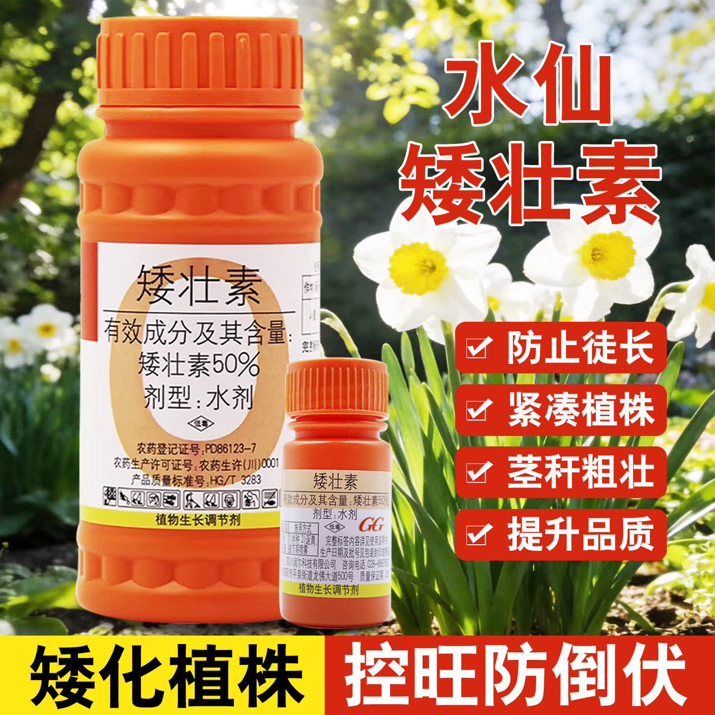 国光矮壮素水仙花卉专用控旺农药菊花胖多肉玉米花生红薯植物通用