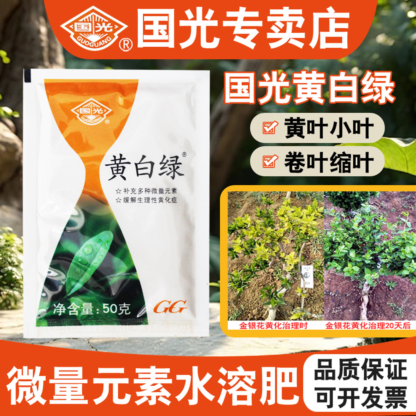 国光黄白绿微量元素水溶肥料文竹果树月季花卉发财树黄叶面肥卷叶