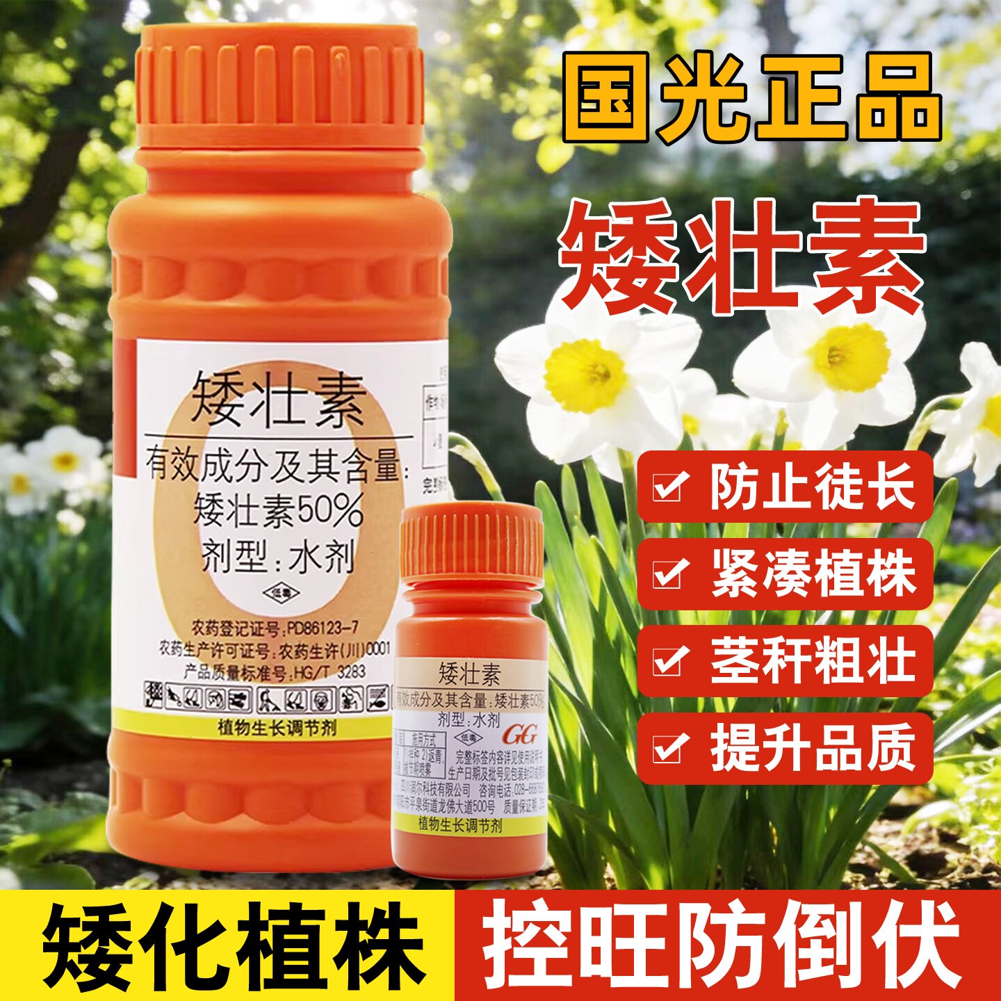 国光矮壮素水仙花卉专用控旺农药菊花胖多肉玉米花生红薯植物通用