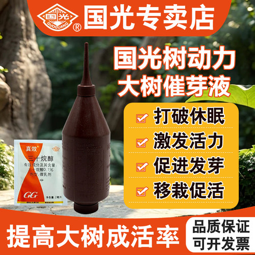 国光树动力大树催芽营养液插瓶
