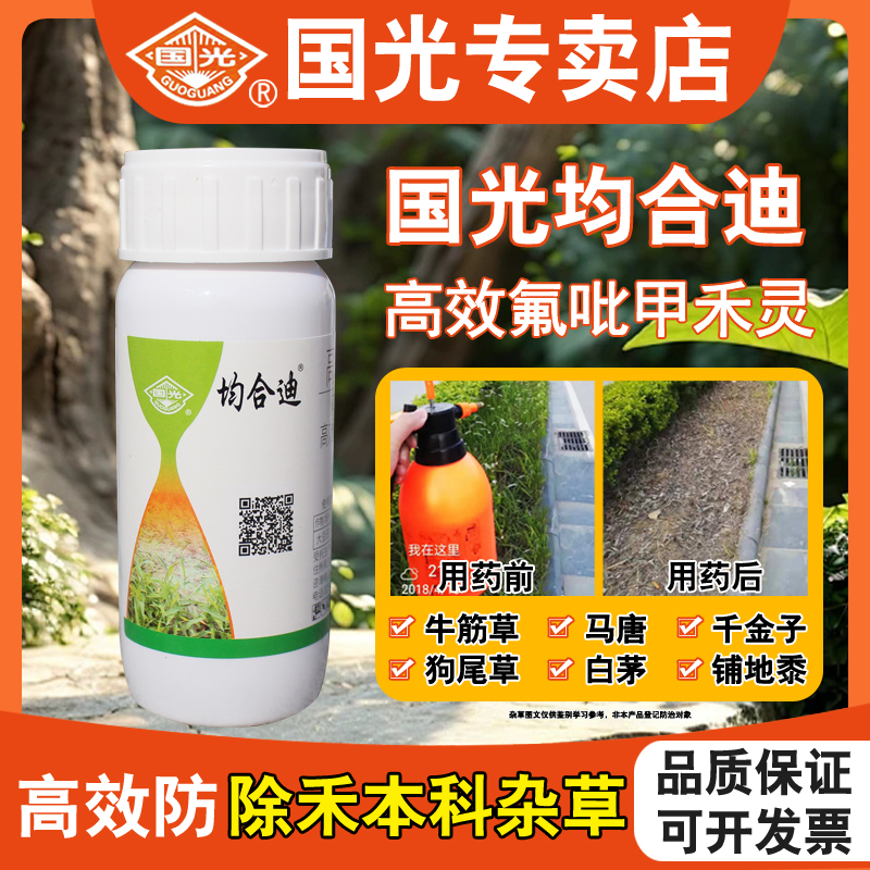 国光均合迪茅草牛筋草烂根除草剂