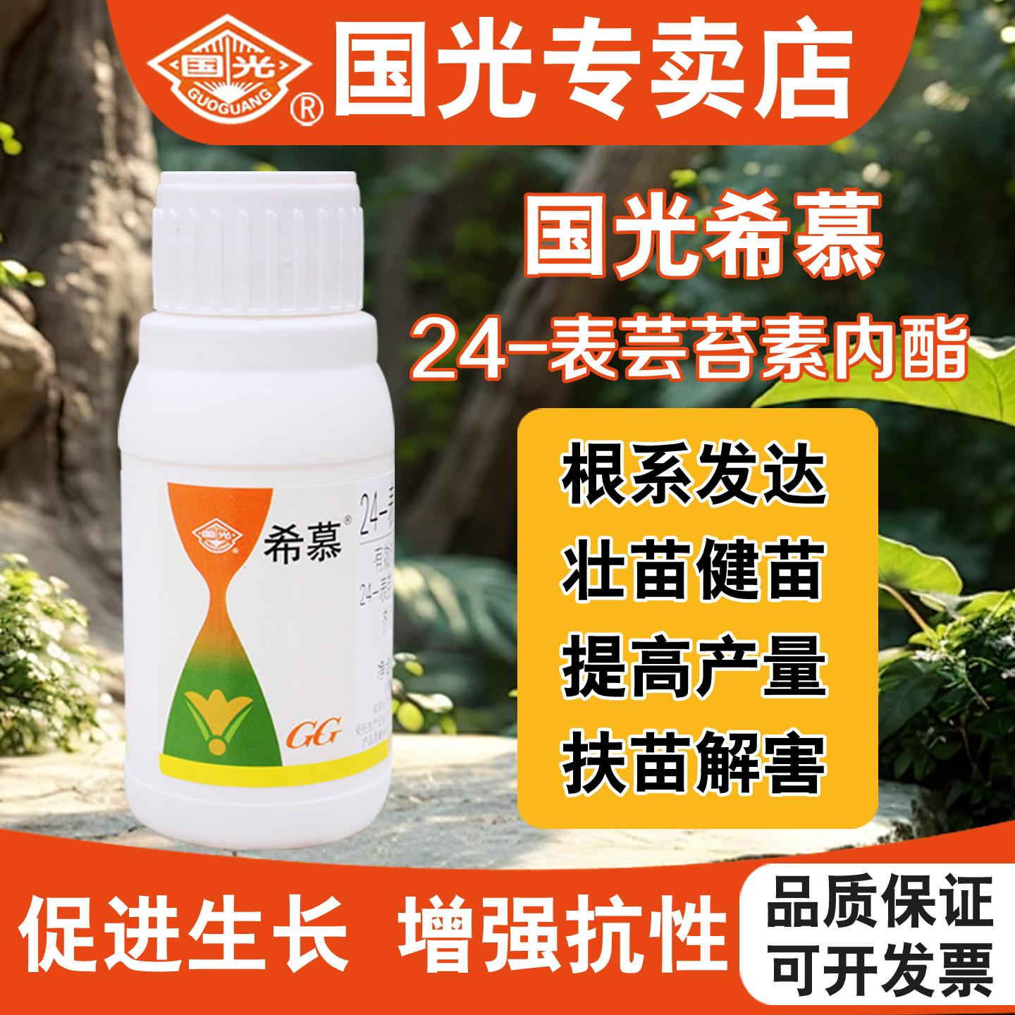 国光希慕芸苔素植物生根壮苗剂