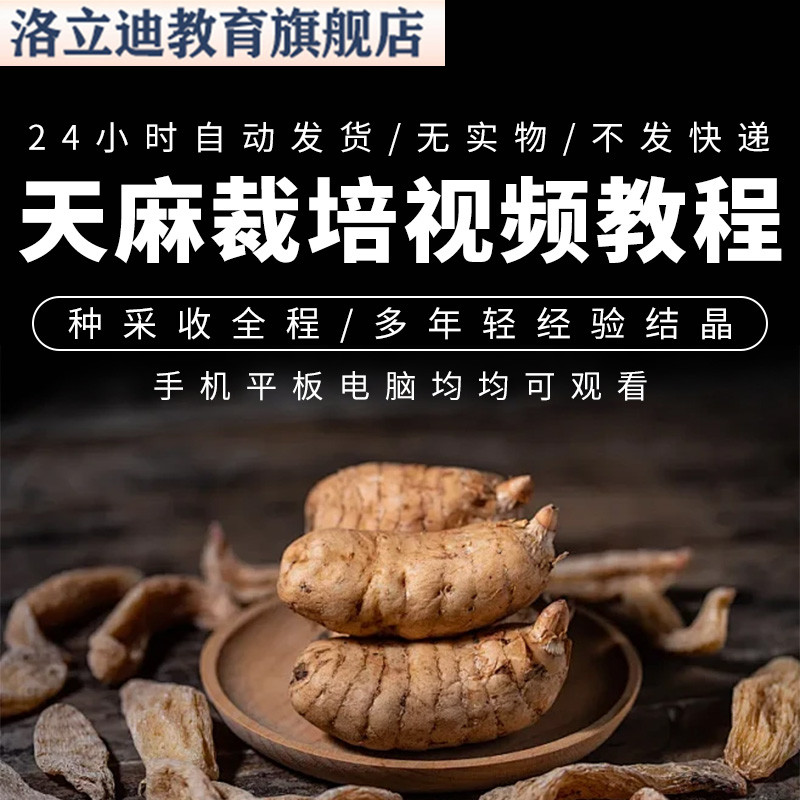天麻人工栽培技术资料视频教程蜜环菌加工管理无公害种植培训大全