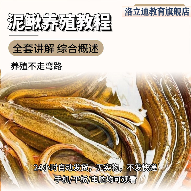 养殖技术养殖泥鳅教程视频资料素材讲解知识技巧讲解全套养殖