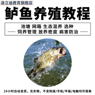 鲈鱼养殖技术视频教程池塘网箱人工饲养管理教学习资料疾病害防治